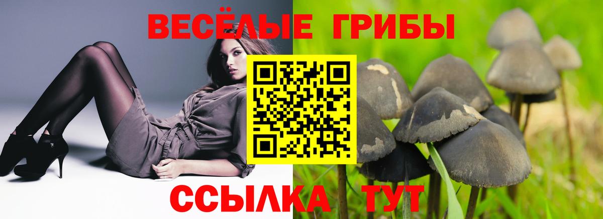 Псилоцибиновые грибы MAGIC MUSHROOMS  Псилоцибиновые грибы GOLDEN TEACHER  Вход с VPN  Ростов-на-Дону 